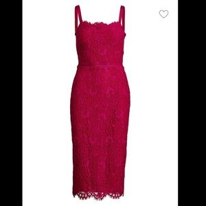 New Lauren Ralph Lauren Floral Lace Cocktail Dress